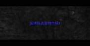 淄博张店宠物市场