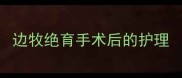 边牧绝育手术后的护理