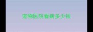 宠物医院看病多少钱