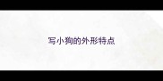 写小狗的外形特点