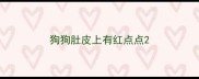 狗狗肚皮上有红点点