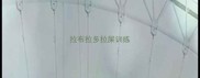 拉布拉多拉屎训练