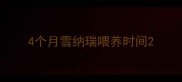 4个月雪纳瑞喂养时间