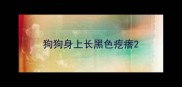 狗狗身上长黑色疙瘩