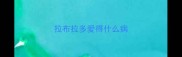 拉布拉多爱得什么病