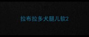 拉布拉多犬腿儿软
