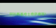 阿拉斯基哈士奇萨摩耶