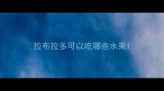 拉布拉多可以吃哪些水果