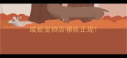 成都宠物店哪些正规