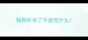 狗狗怀孕了不能吃什么