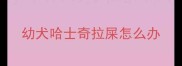 幼犬哈士奇拉屎怎么办