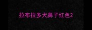 拉布拉多犬鼻子红色