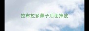 拉布拉多鼻子后面掉皮