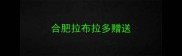 合肥拉布拉多赠送