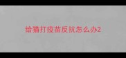 给猫打疫苗反抗怎么办