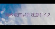 猫咪疫苗以后注意什么