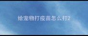 给宠物打疫苗怎么打