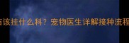 狗狗狂犬疫苗该挂什么科宠物医生详解接种流程与注意事项