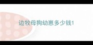 边牧母狗幼崽多少钱